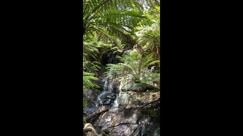 Waterfall at Tara-Bulga National Park