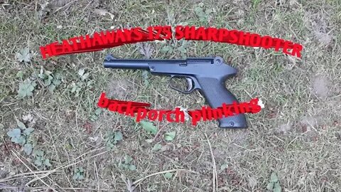 Heathaways 175 sharpshooter *backporch plinking