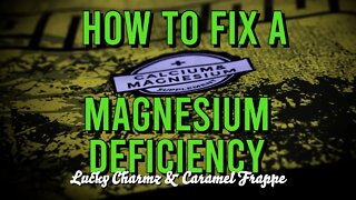 How To Fix A Magnesium Deficiency