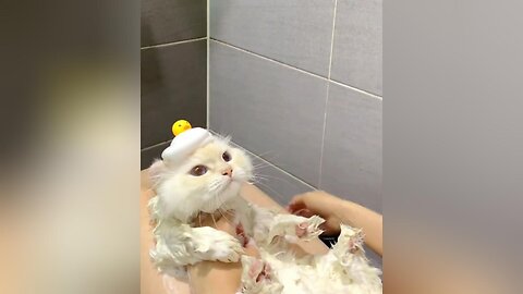 Relaxing bath