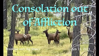 Consolation out of Affliction - Breakfast with the Silvers & Smith Wigglesworth Jul 13