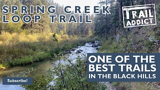 We hiked the Spring Creek Loop Trail (one of the best trails in the Black Hills)