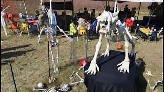 Holy Hill Skeletons goes with 'Festiskull' display