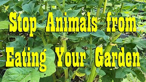 Keep Animals out of the Garden ~ Garden Tip