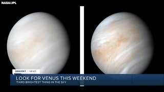 Venus is visible this weekend in the night sky