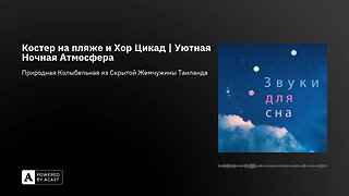 Костер на пляже и Хор Цикад | Уютная Ночная Атмосфера