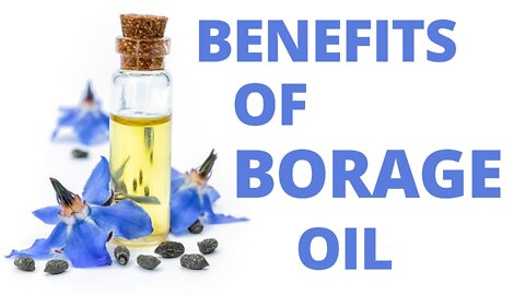 Benefits of Borage Seed Oil