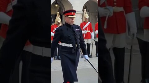 inspection of the uniform #horseguardsparade