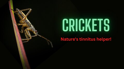 Crickets - Nature's Tinnitus helper! Sleep aid, black screen (10 hours)