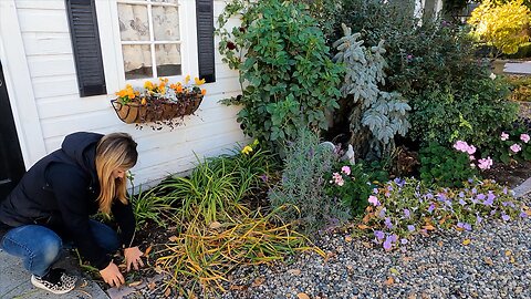 Chicken Coop Flower Bed Maintenance: Pruning, Transplanting & Fall Plants! ✂️🌿🍂