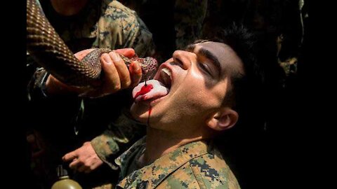Cobra Blood Is Off the Training Menu for US Troops, PETA Says