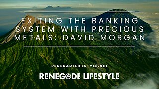 Exiting The Banking System With Precious Metals: David Morgan