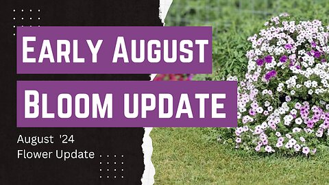 Early August '24 Flower Update