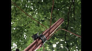 Electroculture: Aerial with Magnetically-Aligned Grounding Experiment