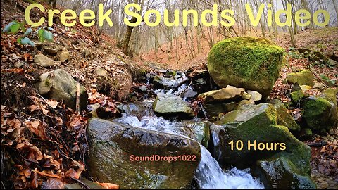 10 Hours of Creek White Noise in Autumn