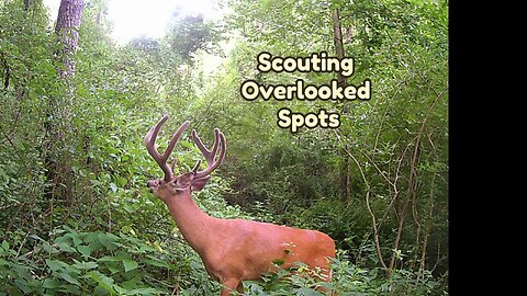 Scouting Overlooked Spots