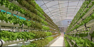 An introduction in to Aeroponics