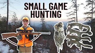Small Game Hunting With A .22 Rifle