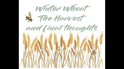 Winter Wheat Experiment Finale