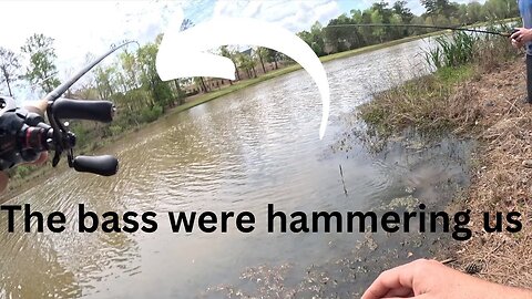insane day spawn pond fishing[ they hammered us]