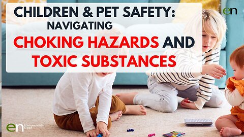 Child and Pet Safety: Navigating Choking Hazards and Toxic Substances