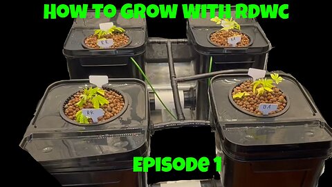 Episode 1 Planting Clone