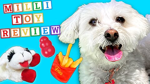 Puppy Reviews Toys!