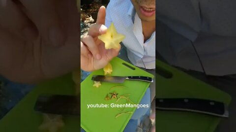 Star Fruit Carambola Trái khế - GreenMangoes #viral #shorts #fruit #exoticfruit #garden #grow