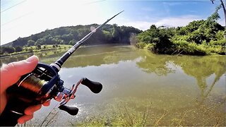 Trying to Catch Finicky Pond Bass