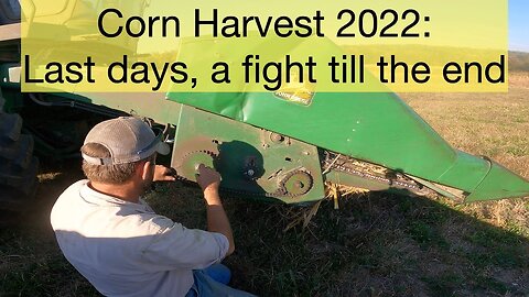 Corn Harvest 2022: Last Days a Fight Till the End