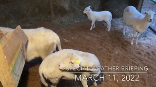 Special Weather Briefing - March 11, 2022