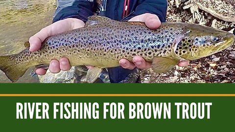 River Fishing For Brown Trout / Lake Michigan Lake Run Brown Trout Fishing / Michigan Fishing Videos