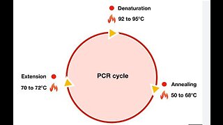 Professor Kary Mullis, developer of the PCR advises on the usage of his test and opinion of Fauci