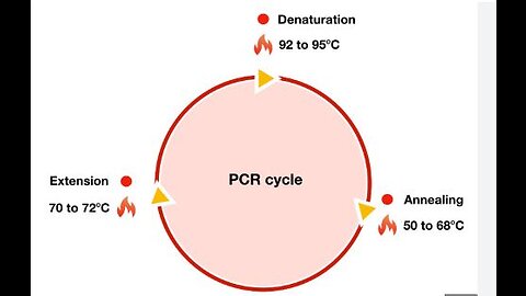 Professor Kary Mullis, developer of the PCR advises on the usage of his test and opinion of Fauci