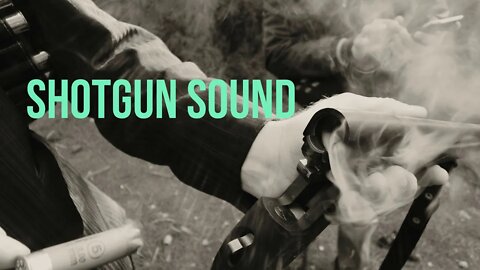 ☑️SHOTGUN Sound Effect🔫 Free Downoad mp3 - 0:11 Minute Loop Shotgun Sound