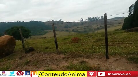 🚲Pedal em cabreuva no armazem do limoeiro 7 de maio 2016