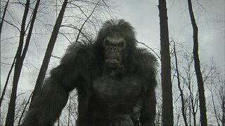 DukeChat #18 ~ 2 TERRIFYING BIGFOOT Encounters!/ Michael Bleuler