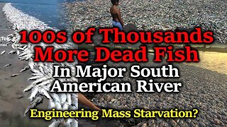 Worldwide Engineered Starvation - Massive South America Fish Kill - 100s of Thousands More DEAD FISH