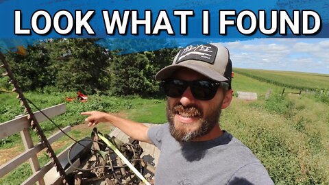 A Deal I Couldn't Turn Down | Sickle Mower Acquired | Bunny Update