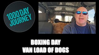 1000 Day Journey 0160 Boxing Day Load of Dogs
