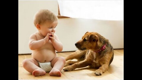 Cute babies so funnny!!!playing with cute dogs compilation!