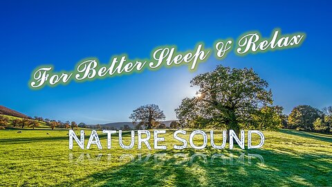Sound of Nature: Relaxing Crickets White Noise