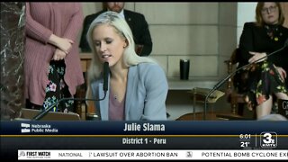 Debate over firearms bill turns into personal attacks on floor of legislature