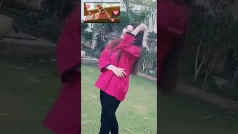 Gul Panra dance #ytshorts #shorts #gulpanra #gulpanrasongs