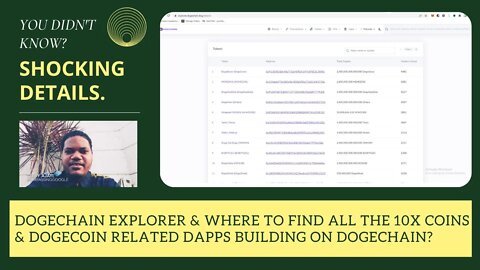 Dogechain Explorer & Where To Find All The 10X Coins & Dogecoin Related Dapps Building On Dogechain?