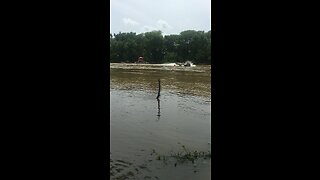 2016 Duck Boat Races Augusta Arkansas