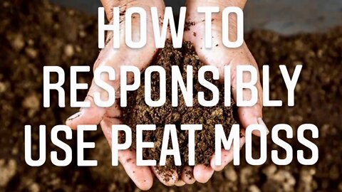 IS PEAT MOSS A SUSTAINABLE PRODUCT? WHY IS PEAT THE STANDARD IN POTTING SOIL? | Gardening in Canada