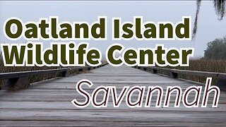 Savannah: Visiting Oatland Island Wildlife Center (GaaG Classic: 2/15/21)