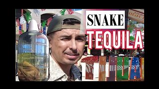 SNAKE TEQUILA - Urban Taboo series- Health benefits - Tijuana,MX