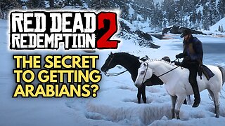 RDR2 White & Black Arabian for free - Locations, Methods in Chapter 2